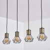 BARDHAMAN Pendant Light black, 4-light sources