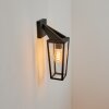 RUONI Outdoor Wall Light black, 1-light source