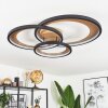 BAIYIN Ceiling Light LED gold, 1-light source