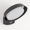 KELO Outdoor Wall Light LED anthracite, 1-light source, Motion sensor