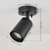 CORNEDA outdoor ceiling light black, 1-light source