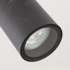 CORNEDA outdoor ceiling light black, 1-light source