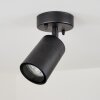 CORNEDA outdoor ceiling light black, 1-light source
