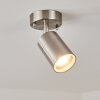 CORNEDA outdoor ceiling light stainless steel, 1-light source