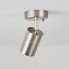 CORNEDA outdoor ceiling light stainless steel, 1-light source