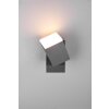 Trio AVON Outdoor Wall Light LED anthracite, 1-light source