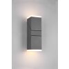 Trio AVON Outdoor Wall Light LED anthracite, 2-light sources