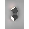 Trio AVON Outdoor Wall Light LED anthracite, 2-light sources
