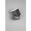 Trio AVON Outdoor Wall Light LED anthracite, 1-light source, Motion sensor