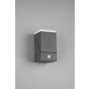 Trio AVON Outdoor Wall Light LED anthracite, 1-light source, Motion sensor