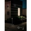 Trio AVON Outdoor Wall Light LED anthracite, 1-light source, Motion sensor