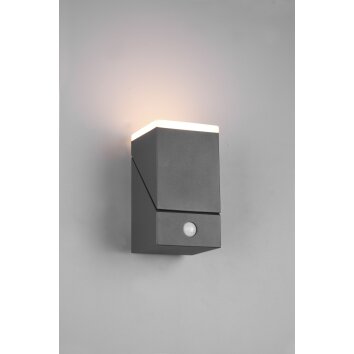 Trio AVON Outdoor Wall Light LED anthracite, 1-light source, Motion sensor