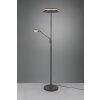 Trio FRANKLIN Floor Lamp LED anthracite, 2-light sources