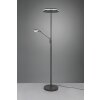 Trio FRANKLIN Floor Lamp LED anthracite, 2-light sources