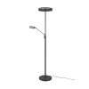 Trio FRANKLIN Floor Lamp LED anthracite, 2-light sources
