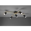 Trio MARLEY Ceiling Light black-gold, 5-light sources