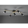 Trio MARLEY Ceiling Light black-gold, 5-light sources