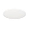 Eglo ROVITO-Z Ceiling Light LED white, 1-light source, Colour changer