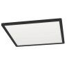 Eglo ROVITO-Z Ceiling Light LED black, 1-light source, Colour changer
