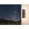 Eglo COSTORIO outdoor ceiling light LED Wood like finish, black, 1-light source