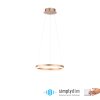 Leuchten-Direkt TITUS Pendant Light LED brass, 1-light source