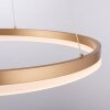 Leuchten-Direkt TITUS Pendant Light LED brass, 1-light source