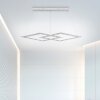 Paul Neuhaus PURE-COSMO Pendant Light LED aluminium, 44-light sources, Remote control