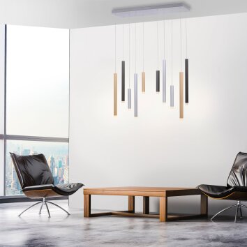 Paul Neuhaus PURE-GEMIN Pendant Light LED aluminium, black, 10-light sources