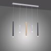 Paul Neuhaus PURE-GEMIN Pendant Light LED aluminium, brass, black, 5-light sources