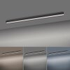 Paul Neuhaus PURE-LINES Ceiling Light LED anthracite, 1-light source, Remote control