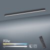 Paul Neuhaus PURE-LINES Ceiling Light LED anthracite, 1-light source, Remote control