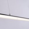 Paul Neuhaus PURE-LITE Pendant Light LED anthracite, 1-light source