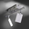 Paul Neuhaus PURE-MIRA Ceiling Light LED aluminium, 2-light sources, Remote control