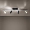 Paul Neuhaus PURE-MIRA Ceiling Light LED black, 4-light sources, Remote control