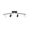 Paul Neuhaus PURE-MIRA Ceiling Light LED black, 4-light sources, Remote control