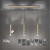 Paul Neuhaus PURE-VEGA Pendant Light LED brass, 9-light sources