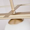 FINNSETER Pendant Light champagne, 4-light sources