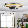 OLEIRO ceiling fan LED gold, black, white, 1-light source, Remote control