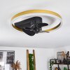 OLEIRO ceiling fan LED gold, black, white, 1-light source, Remote control