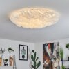 ADEGOIVA Ceiling Light LED white, 1-light source