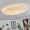 ADEGOIVA Ceiling Light LED white, 1-light source
