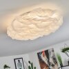 ADEGOIVA Ceiling Light LED white, 1-light source