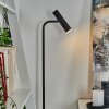 DALHEIM Floor Lamp LED black, 1-light source