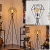 BARDHAMAN Floor Lamp black, 1-light source