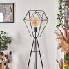 BARDHAMAN Floor Lamp black, 1-light source