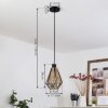 PARDIEIRO Pendant Light black, 1-light source