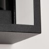 HAKKAS Outdoor Wall Light black, 1-light source