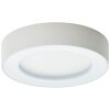 Brillliant Whittaker outdoor ceiling light LED white, 1-light source