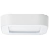 Brillliant Whittaker outdoor ceiling light LED white, 1-light source