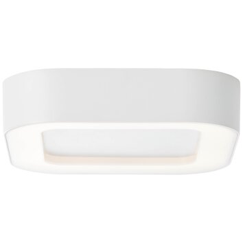Brillliant Whittaker outdoor ceiling light LED white, 1-light source